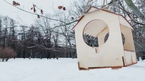 Birdhouse en un parque salvaje, clima nublado de invierno, paz y tranquilidad, sin gente — Vídeo de stock