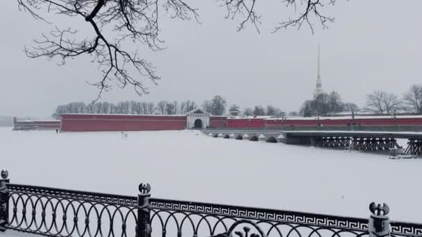 冬の夜に雪の嵐の中でピーターとポール要塞の映像,ペトロパヴロス大聖堂は黄金の光で輝きます,背景にサンクトペテルブルクの観光スポット — ストック動画