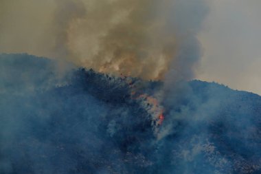 İtalya 'nın Ventimiglia kasabasındaki orman dağında yangın, dumandaki tüm dağlar, villa yanıyor, itfaiye uçakları yangını söndürüyor.