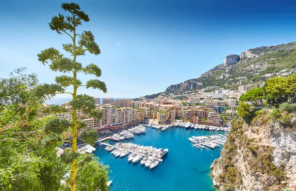 Port Fontvieille 'in panoramik görüntüsü - Monaco, Monaco Ville' in manzarası, azur suyu, güneş ışığı, güneşli bir günde liman, lüks daireler, bir sürü yat ve tekne, dağ manzarası