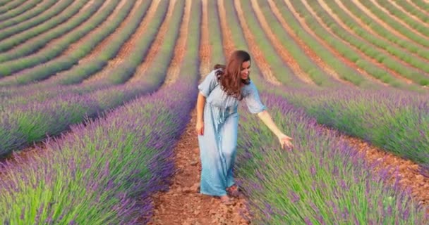 Gadis muda yang cantik berjalan di lapangan lavender saat matahari terbenam, dia mengenakan gaun biru panjang, rambut keriting, dia tersenyum dan kesenangan, baris bunga di latar belakang, perspektif lapangan — Stok Video