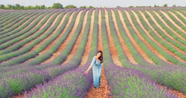 Piękna młoda dziewczyna spaceruje po polu lawendy o zachodzie słońca, ma na sobie długą niebieską sukienkę, kręcone włosy, uśmiech i przyjemność, rzędy kwiatów na tle, perspektywa pola — Wideo stockowe