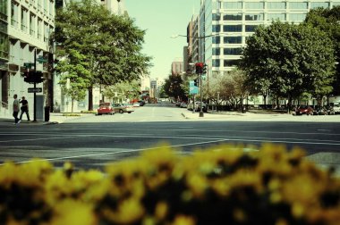 Washington dc, pensilvania ave., ABD gündüz