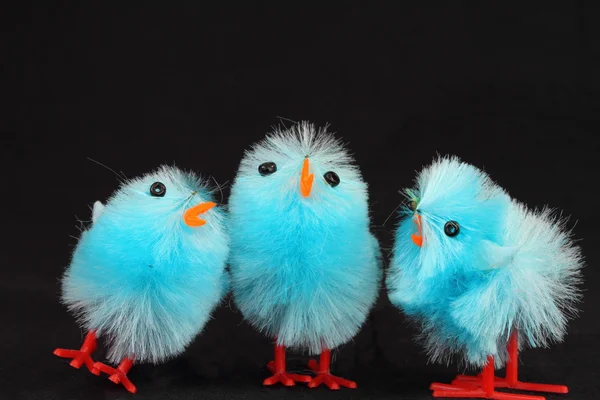 Blue Easter chicks — Stock Photo, Image