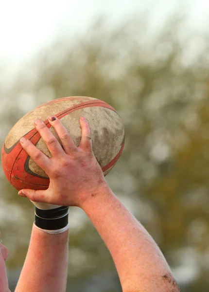 Manos sosteniendo una pelota de rugby Imágenes de stock libres de derechos