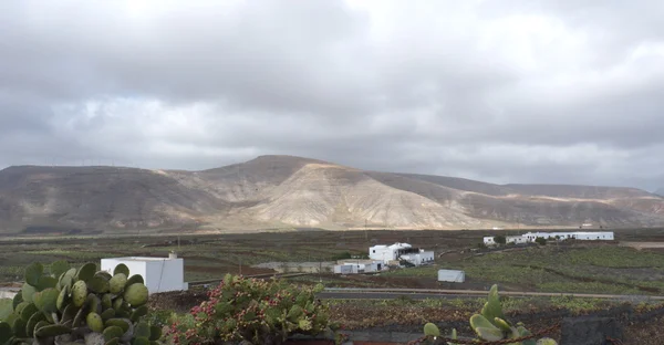 Lanzarote — Stock fotografie