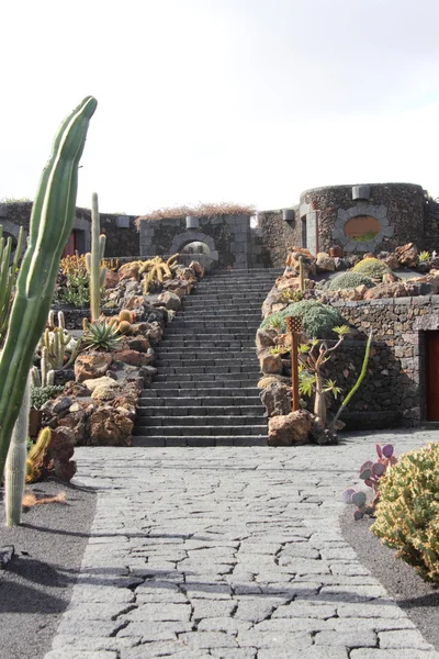 El Jardin del Cactus Lanzarote di Cesar Manrique — Foto Stock