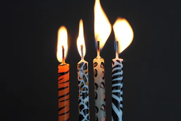 Zvířecí tisk svíčky — Stock fotografie