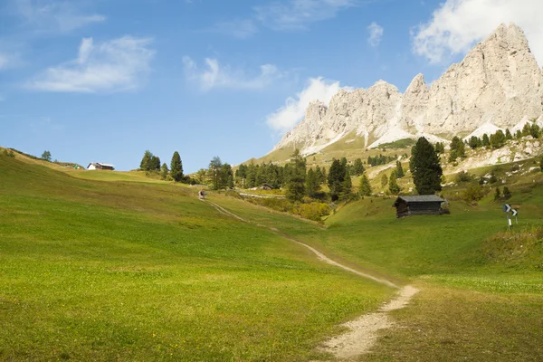 Pathway in Sudtirol — Stock Photo, Image