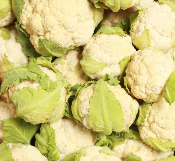 Coliflor — Foto de Stock