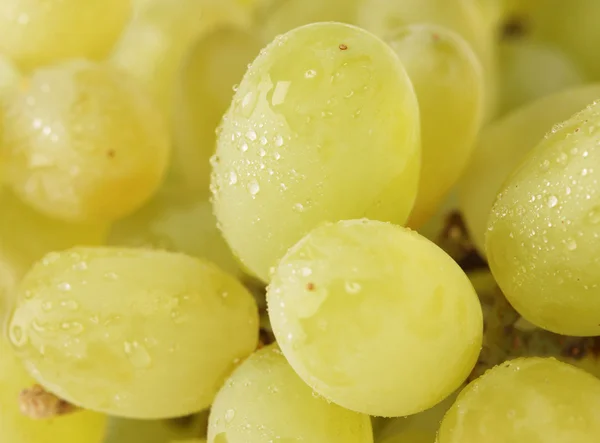 Green grapes 2 — Stock Photo, Image