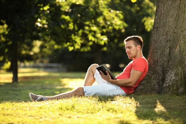 Tablet in park — Stockfoto