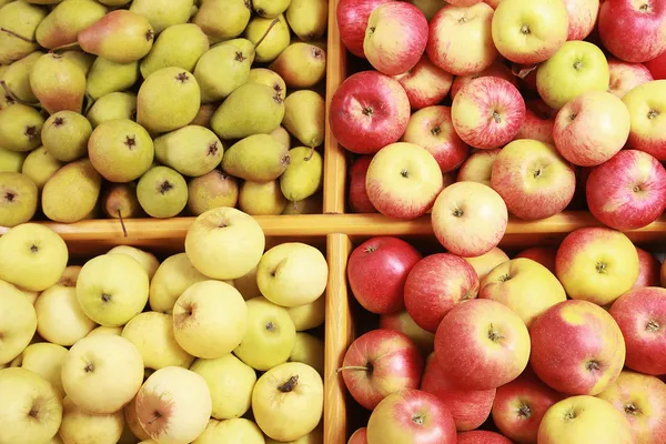 Frutas de otoño — Foto de Stock