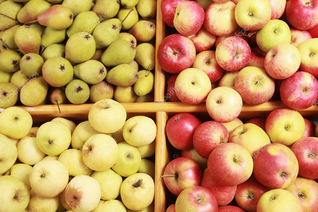 Autumn Fruits Stock Photo By C Pavelrumme Autumn Fruits Stock Photo By C Pavelrumme