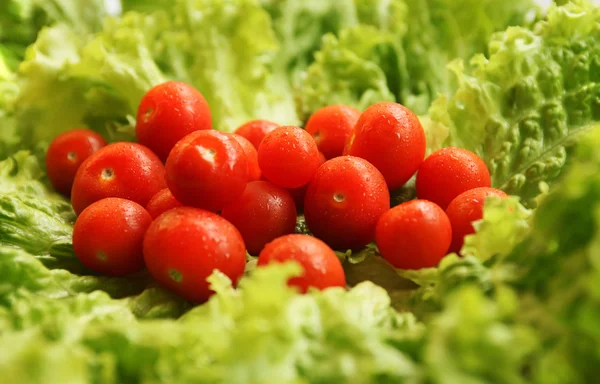 Wet tomatoes — Stock Photo, Image