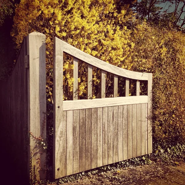 Oude houten poorten tegen gele herfst struiken — Stockfoto