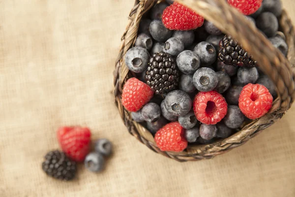 Reife Beeren — Stockfoto