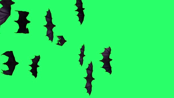 Animación Murciélagos Negros Volando Sobre Fondo Verde — Vídeos de Stock