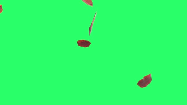 緑の背景に落ちる現実的なオレンジの葉 — ストック動画