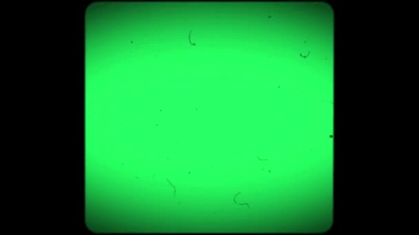 Реалистичная Пленка Зерна Рамка Изолировать Зеленом Фоне — стоковое видео