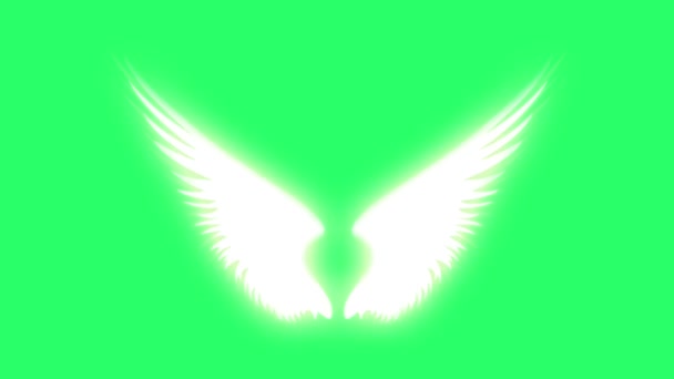 Animation White Wings Isolate Green Background — Stock Video