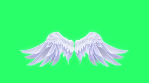 Animation White Wings Isolate Green Background — Stock Video