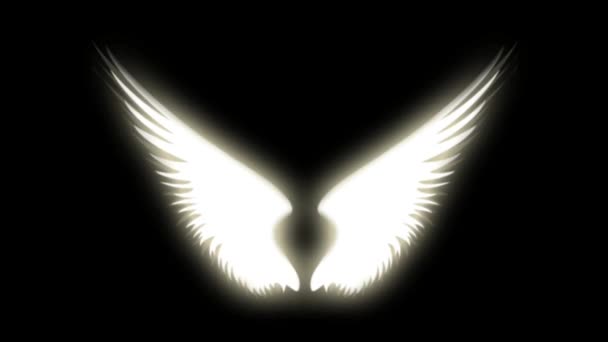 Animace Bílá Křídla Izolovat Černém Pozadí — Stock video