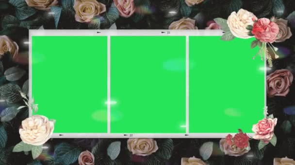 Animation White Flower Blooming Frame Green Background — Stock Video