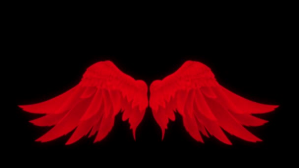 Animation Rote Flügel Isolieren Auf Schwarzem Hintergrund — Stockvideo