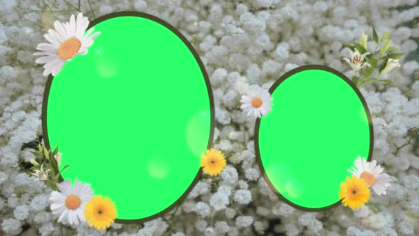 Animasyon Beyaz Çiçek Yeşil Arkaplanda Çiçek Açan Çerçeve — Stok video