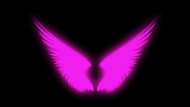 黒を背景にしたアニメーション紫色の翼 — ストック動画
