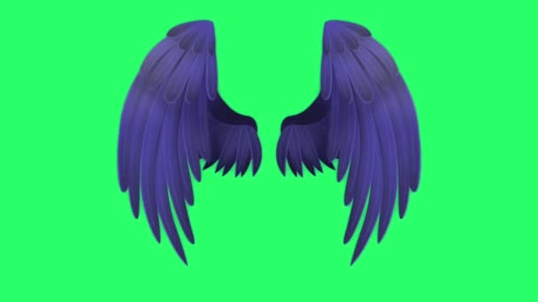 Animation Blue Wings Green Black Background — Stock Video