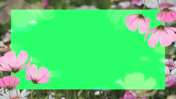 緑の背景にアニメーションピンクの花の花のフレーム — ストック動画