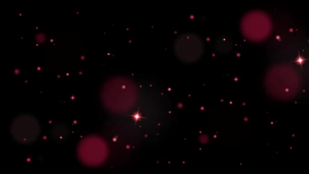 Animation Pink Light Sparkles Black Background — Stok video