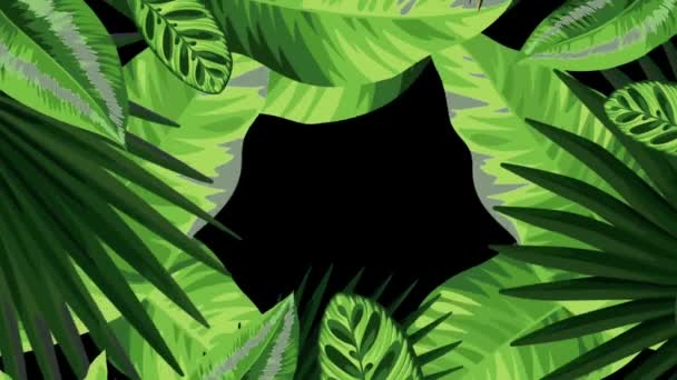Animação Quadro Folha Verde Com Espaço Preto — Vídeo de Stock