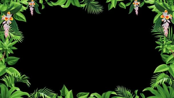Animação Quadro Folha Verde Com Espaço Preto — Vídeo de Stock