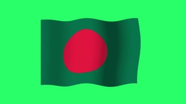 Canlandırma Bangladeş bayrağı yeşil arkaplanda izole edildi