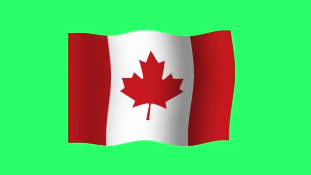Animazione Bandiera Canada Isolare Sfondo Verde — Video Stock