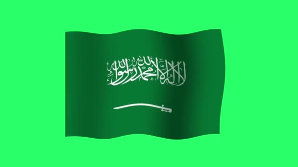 Animation Saudi Arabia Flag Isolate Green Background — Stockvideo