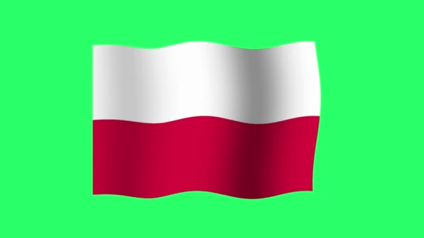 Animace Polsko Vlajka Izolovat Zeleném Pozadí — Stock video