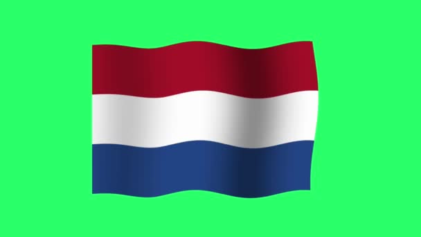 Animacja Holandia Flaga Izolat Zielonym Tle — Wideo stockowe
