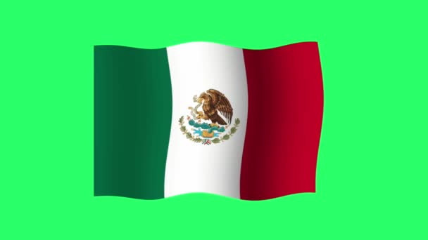 Animation Mexico Lag Isolate Green Background — Stockvideo