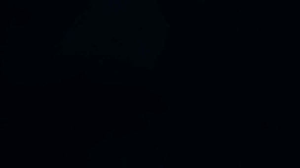 Realistic Blue Lightning Black Background — Stock Video