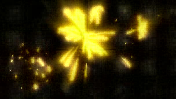 Realistic Yellow Light Firework Shape Black Background — Video Stock