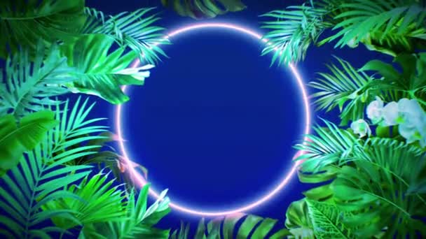 Animation Colorful Leaf Frame Blue Neon Light Circle Shape — Wideo stockowe
