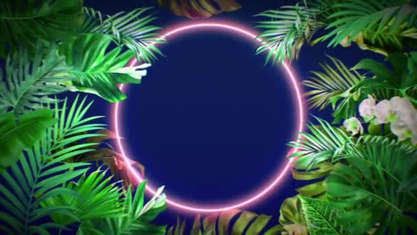 Animation Colorful Leaf Frame Red Neon Light Circle Shape — Wideo stockowe