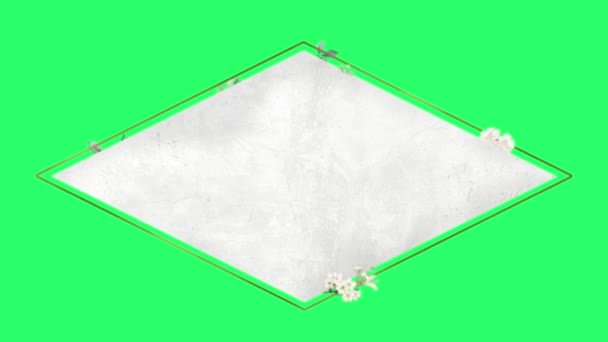 Animation Weiße Blumen Quadratischen Rahmen Mit Grünem Hintergrund — Stockvideo