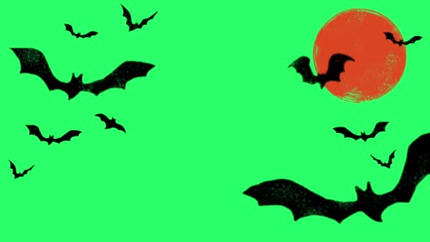 Animation Halloween Ramme Isolere Med Grøn Skærm – Stock-video