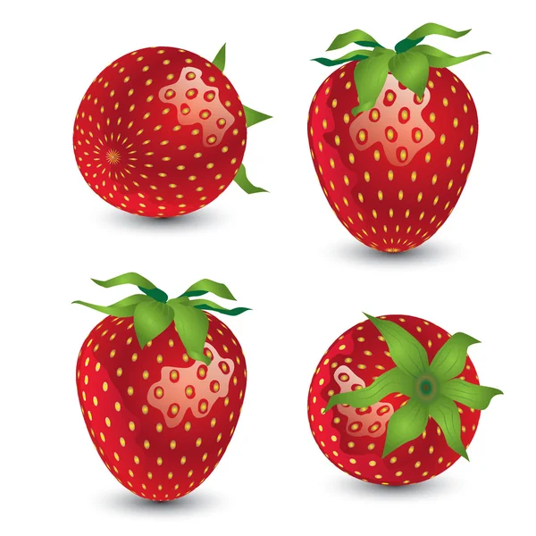 Illustrations vectorielles de fraises — Image vectorielle