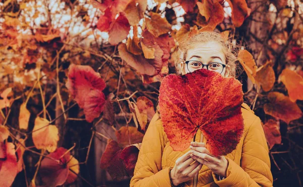 Осень Открытый Портрет Веселой Кавказской Девочки Подростка Большим Красным Листом — стоковое фото